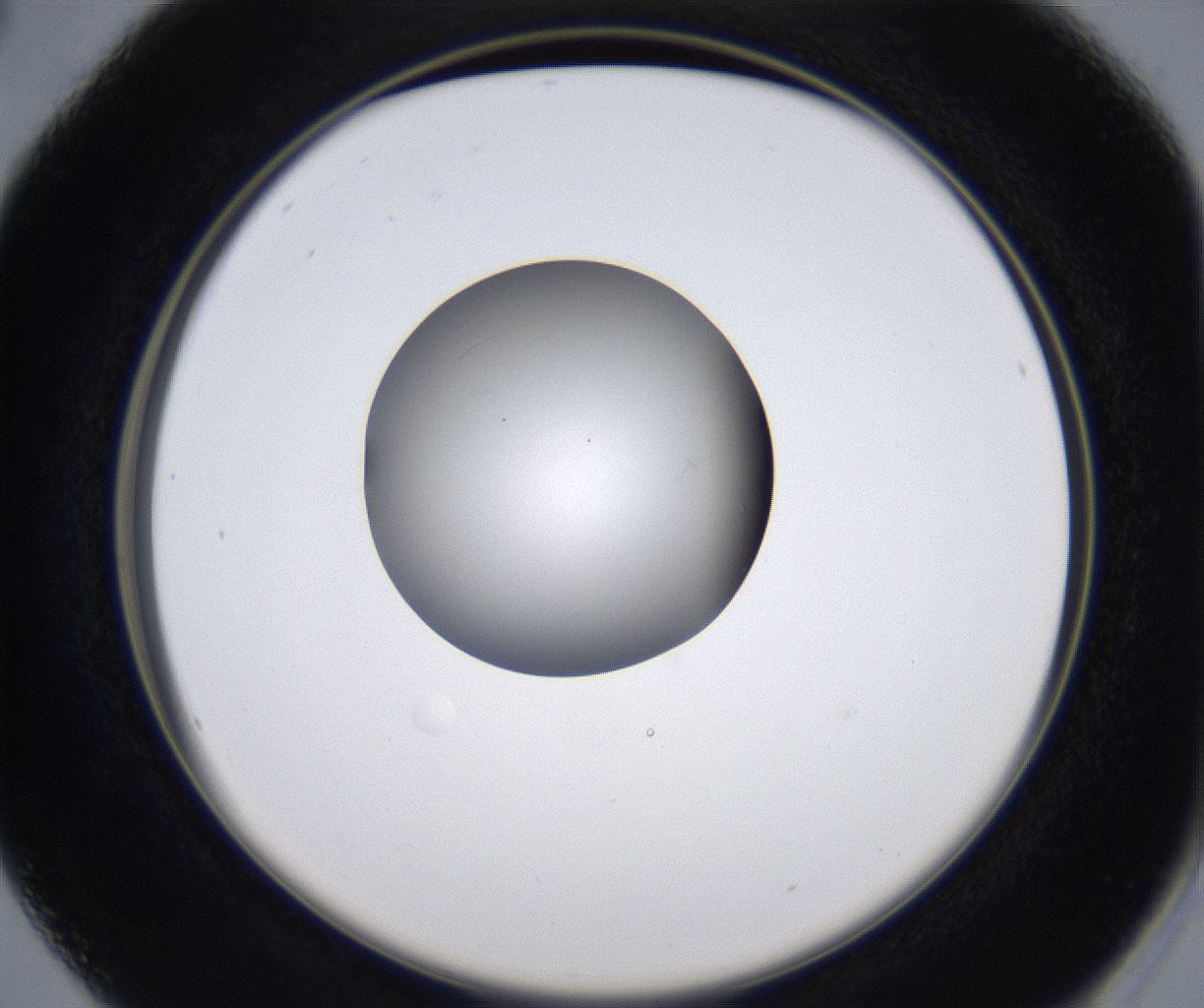 folderID347_plateID2347_batchID11062_wellNum16_profileID1_d2_r165410_ef.jpg