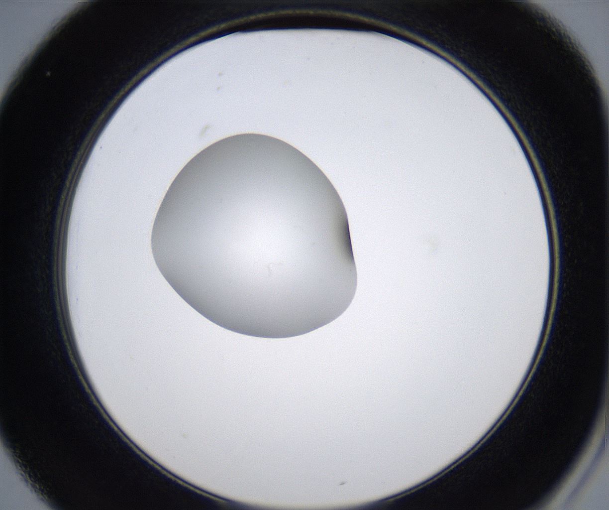 folderID347_plateID2347_batchID11062_wellNum25_profileID1_d2_r165428_ef.jpg