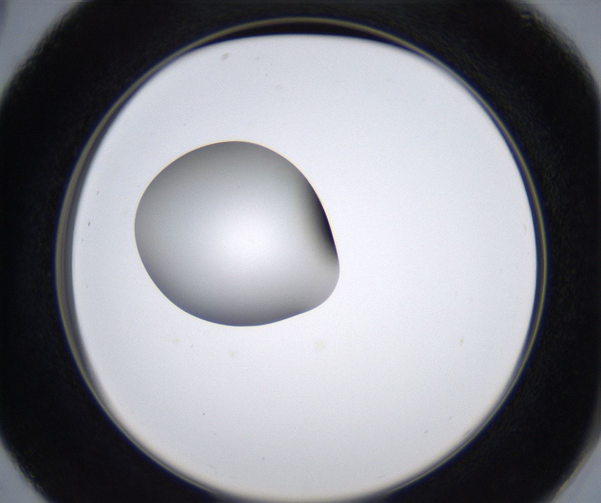 folderID347_plateID2347_batchID11062_wellNum29_profileID1_d2_r165436_ef.jpg