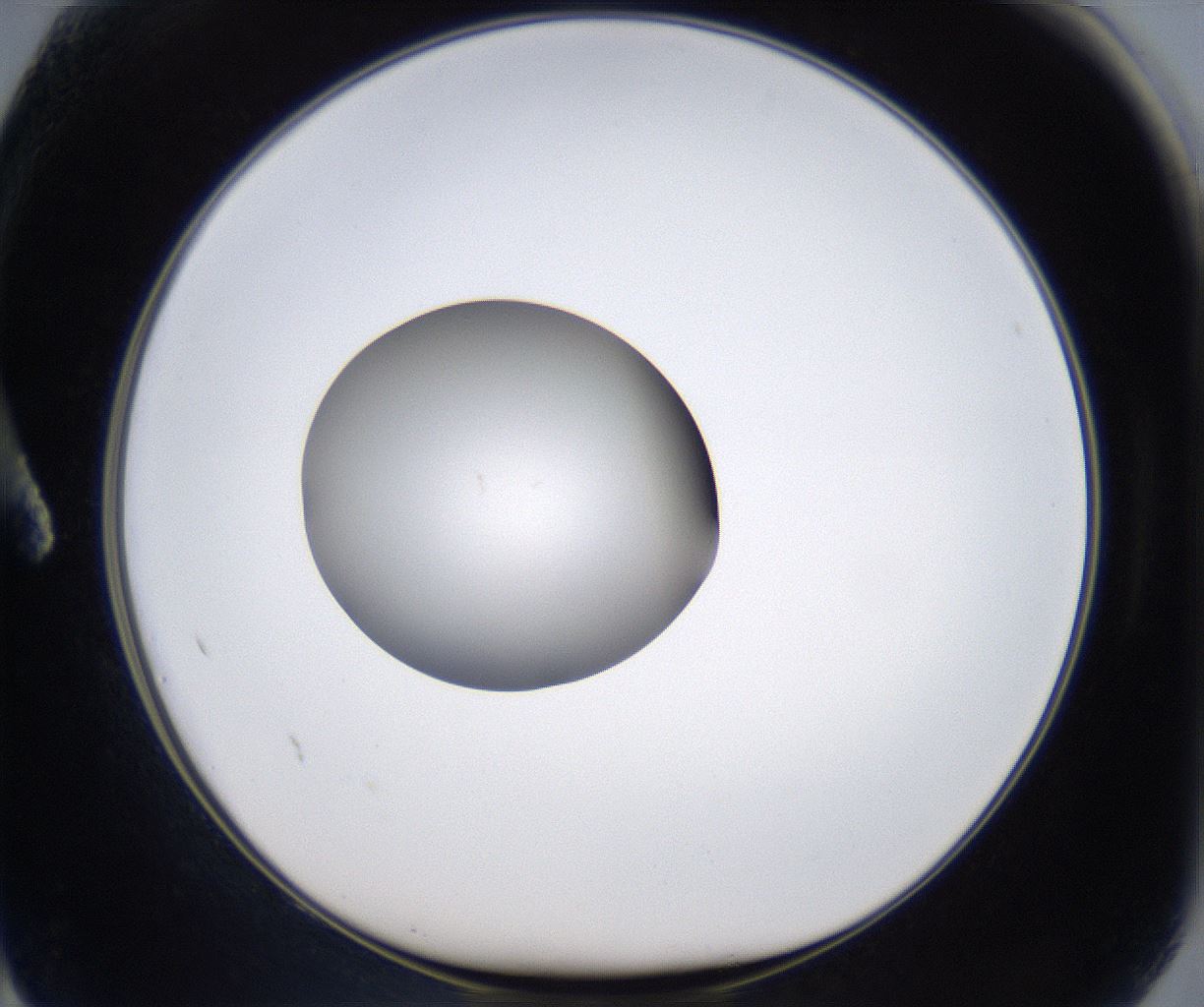 folderID347_plateID2347_batchID11062_wellNum2_profileID1_d1_r165381_ef.jpg