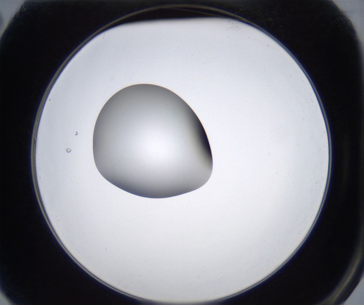 folderID347_plateID2347_batchID11062_wellNum2_profileID1_d2_r165382_ef.jpg