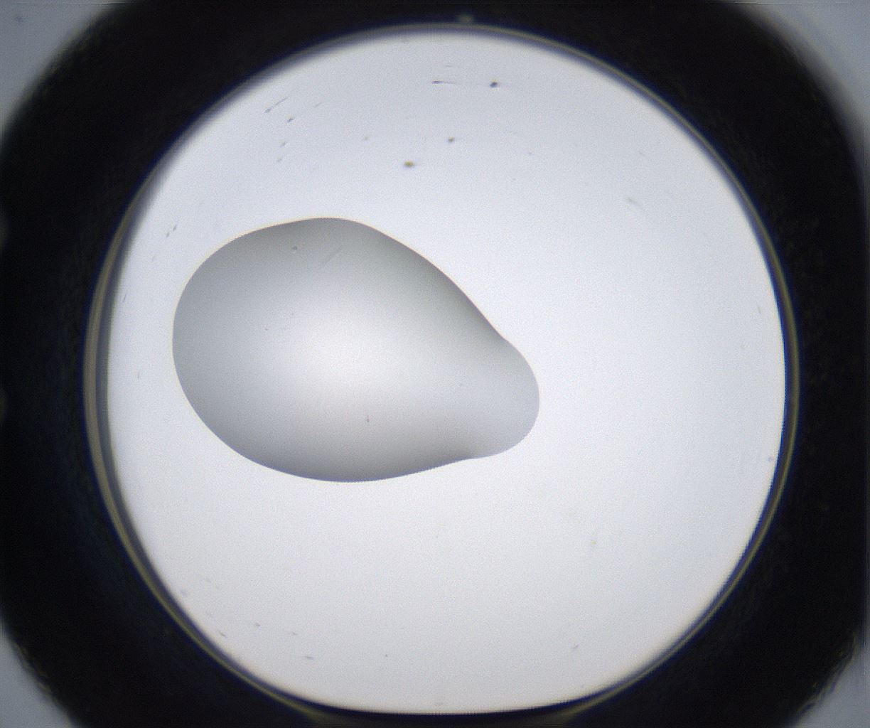 folderID347_plateID2347_batchID11062_wellNum56_profileID1_d1_r165489_ef.jpg