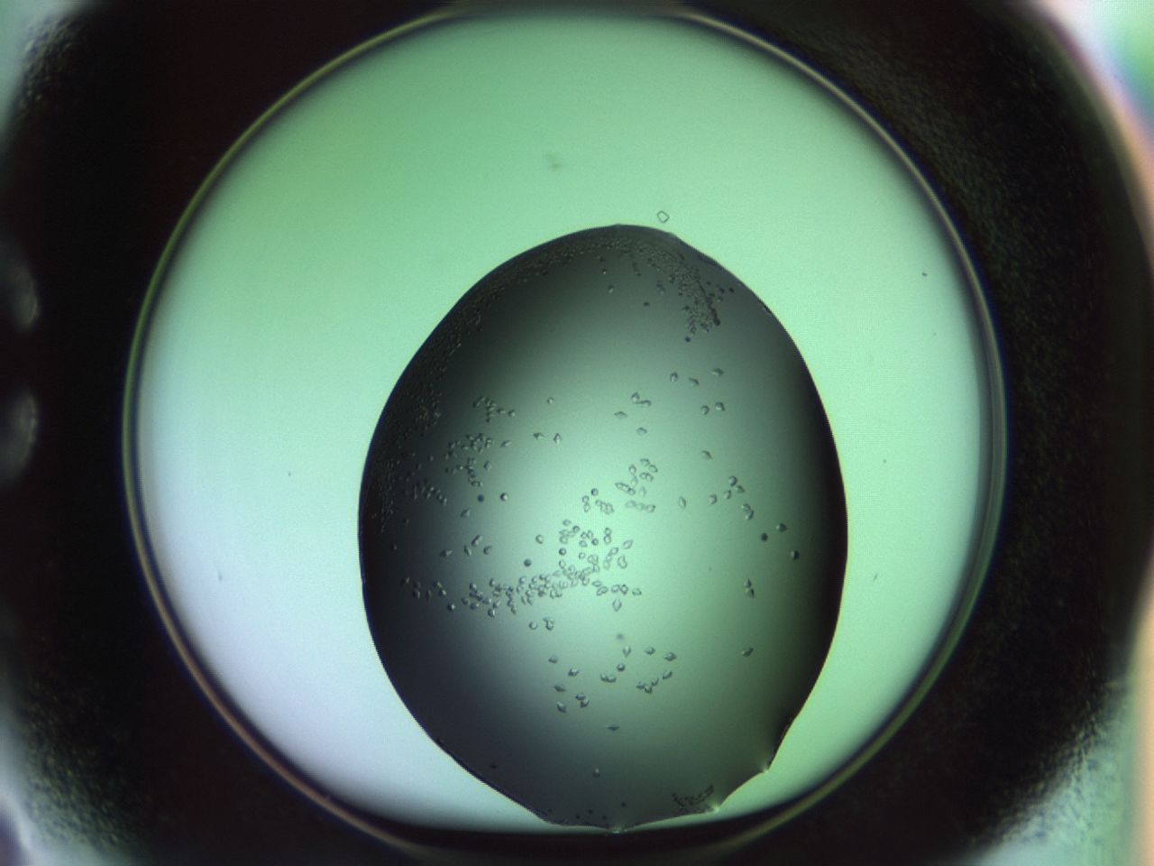 02kh_C3_ImagerDefaults_9.jpg