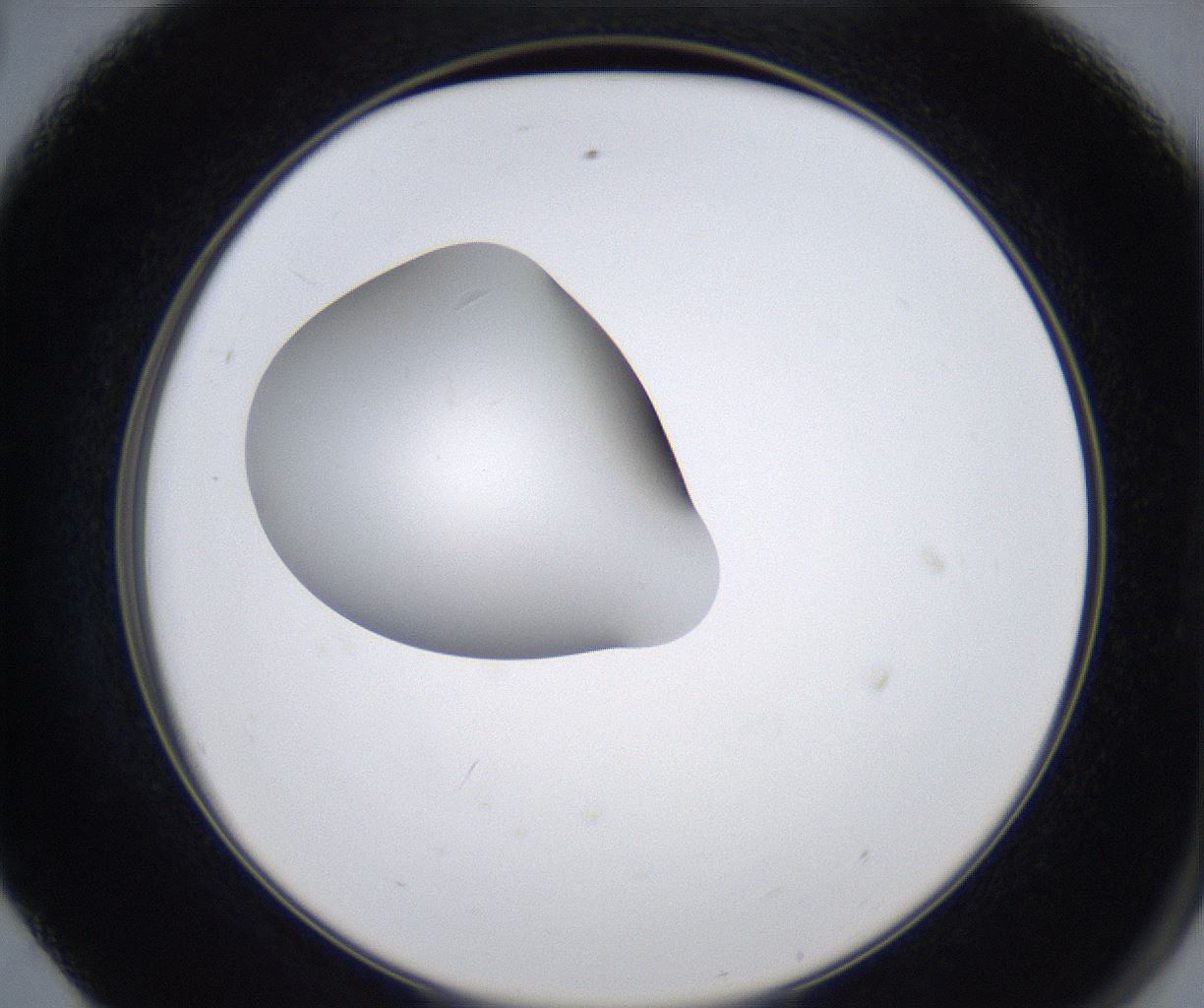 folderID347_plateID2347_batchID11062_wellNum56_profileID1_d2_r165490_ef.jpg