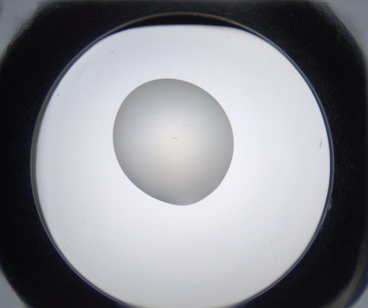 folderID347_plateID2347_batchID11062_wellNum64_profileID1_d2_r165506_ef.jpg
