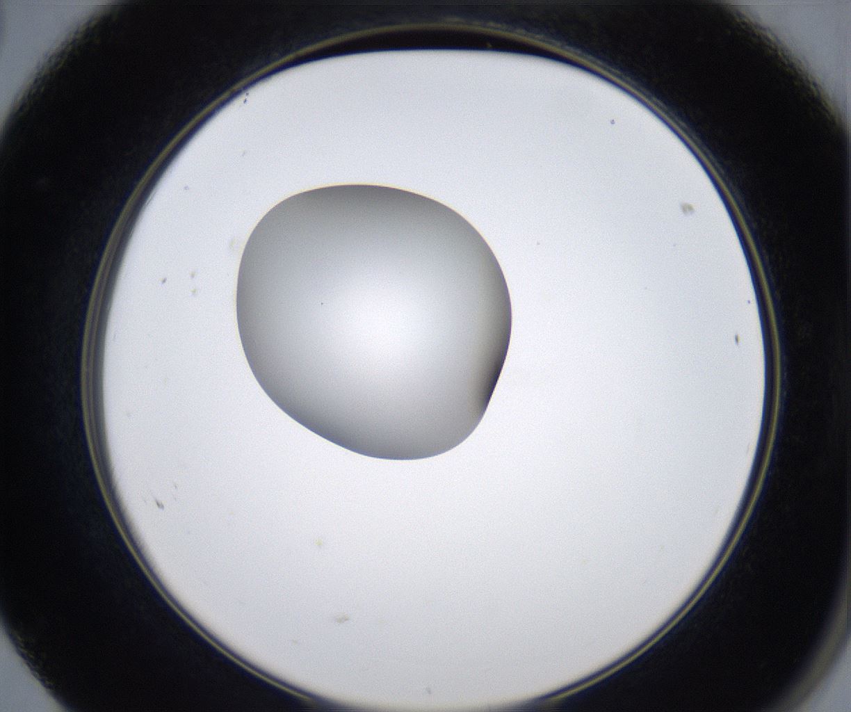 folderID347_plateID2347_batchID11062_wellNum68_profileID1_d2_r165514_ef.jpg