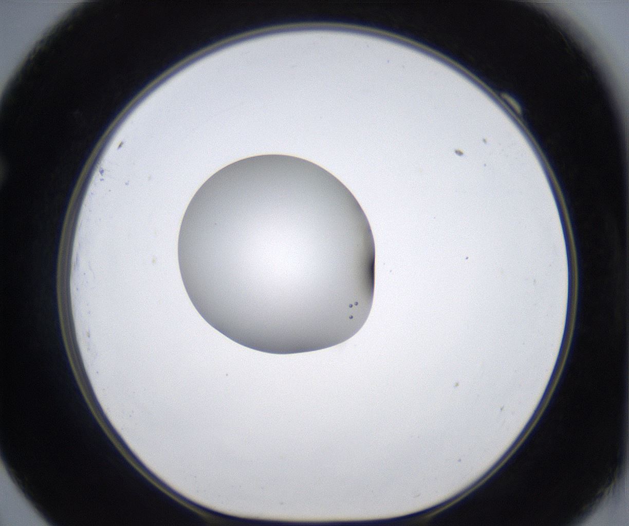 folderID347_plateID2347_batchID11062_wellNum69_profileID1_d1_r165515_ef.jpg