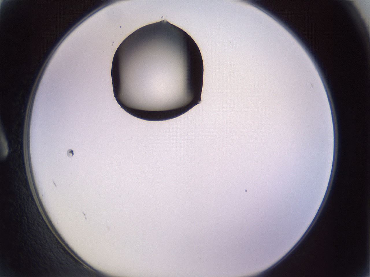 folderID348_plateID1348_batchID4703_wellNum2_profileID1_d1_r81133_ef.jpg