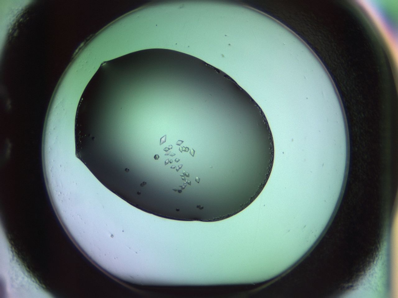 02kh_C4_ImagerDefaults_9.jpg