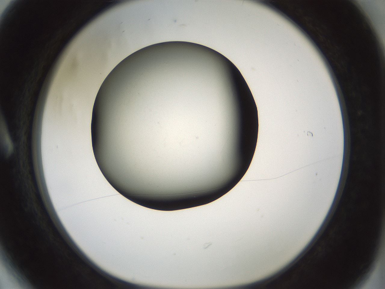 folderID347_plateID1347_batchID4702_wellNum6_profileID1_d1_r81233_ef.jpg