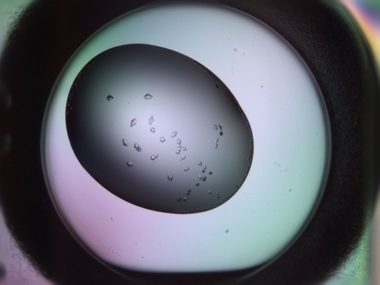 02kh_C5_ImagerDefaults_9.jpg