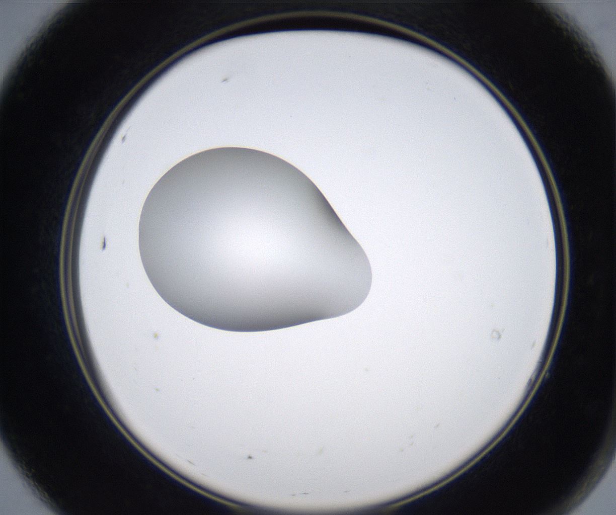 folderID347_plateID2347_batchID11062_wellNum7_profileID1_d2_r165392_ef.jpg