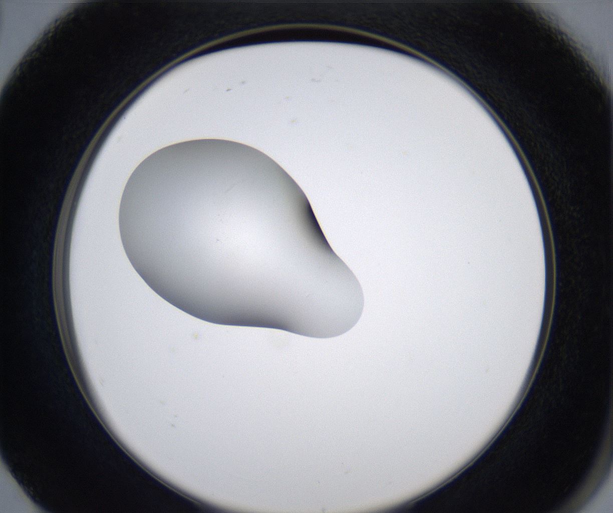 folderID347_plateID2347_batchID11062_wellNum80_profileID1_d2_r165538_ef.jpg