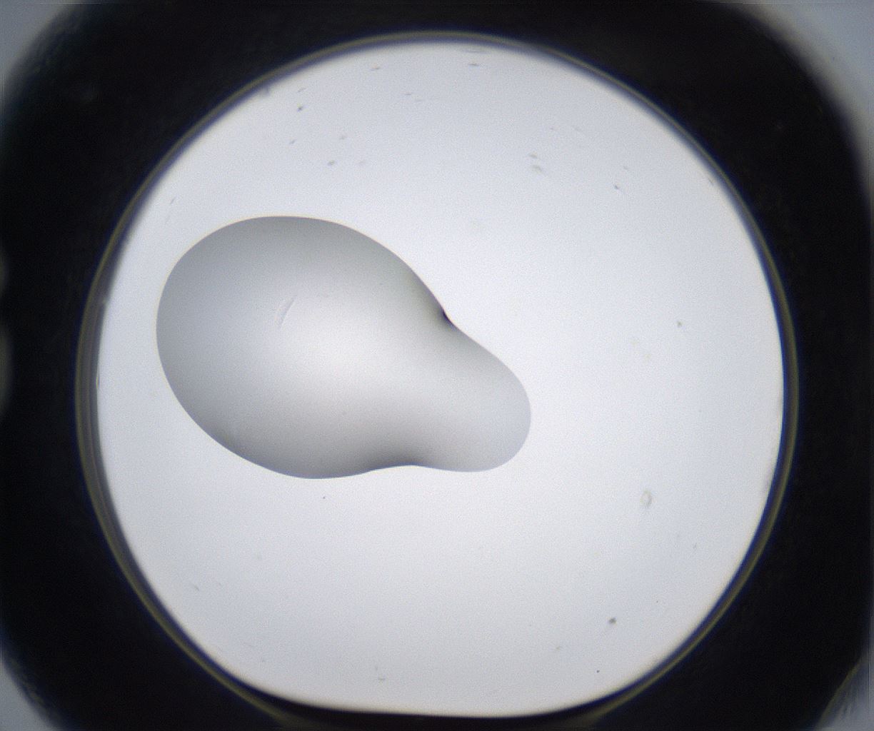folderID347_plateID2347_batchID11062_wellNum81_profileID1_d1_r165539_ef.jpg