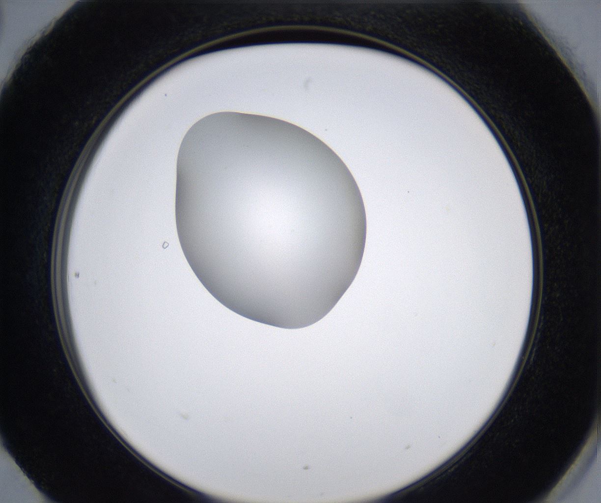 folderID347_plateID2347_batchID11062_wellNum90_profileID1_d2_r165558_ef.jpg