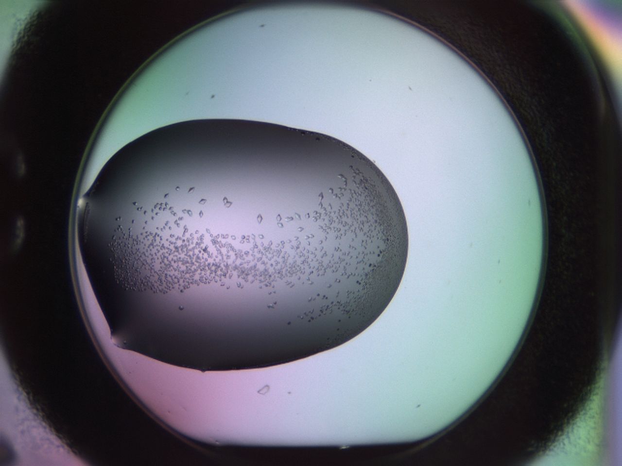 02kh_C6_ImagerDefaults_9.jpg