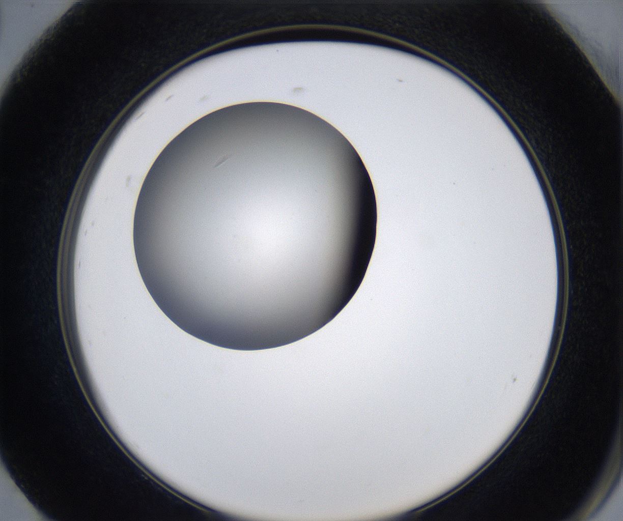 folderID347_plateID2347_batchID11062_wellNum92_profileID1_d2_r165562_ef.jpg