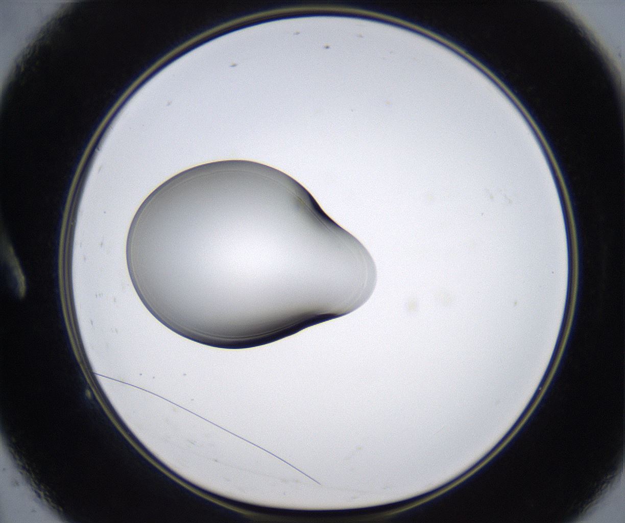 folderID347_plateID2347_batchID11062_wellNum9_profileID1_d1_r165395_ef.jpg