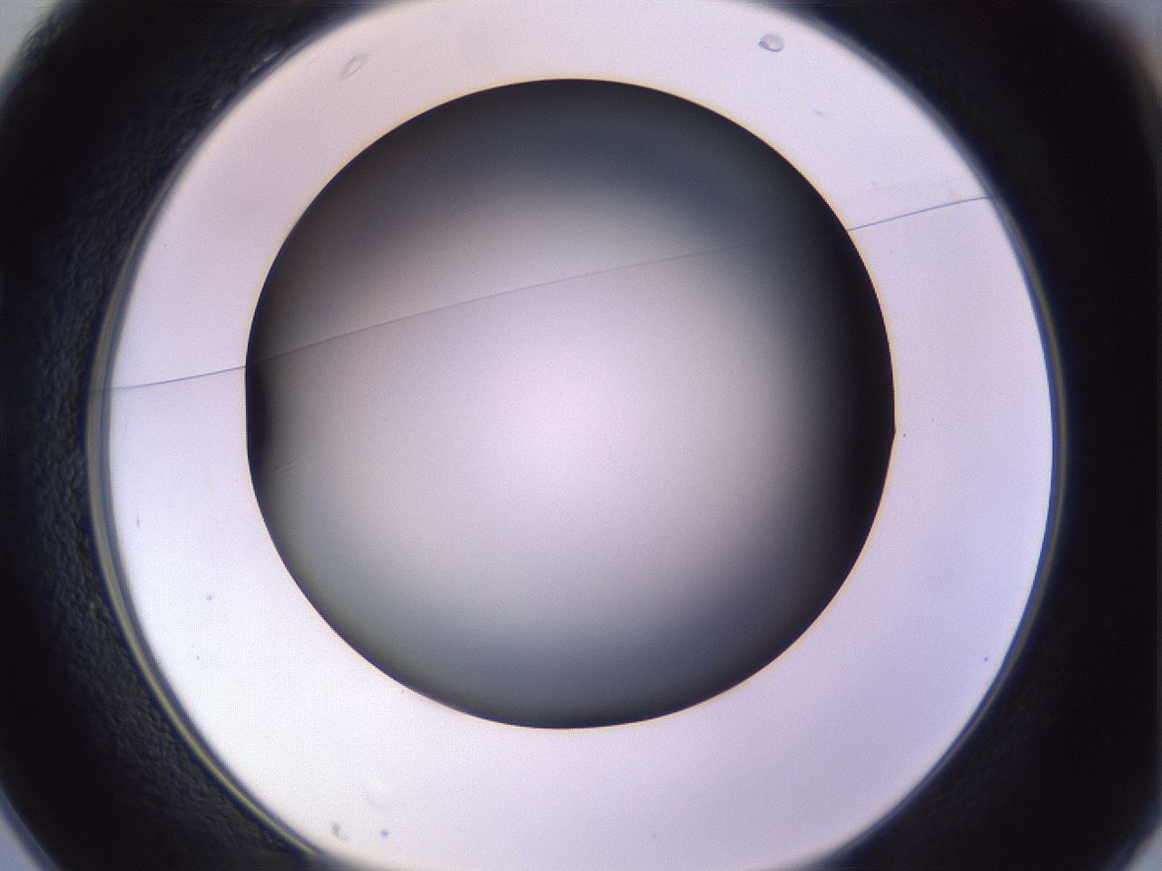 folderID348_plateID1348_batchID4703_wellNum25_profileID1_d1_r81156_ef.jpg