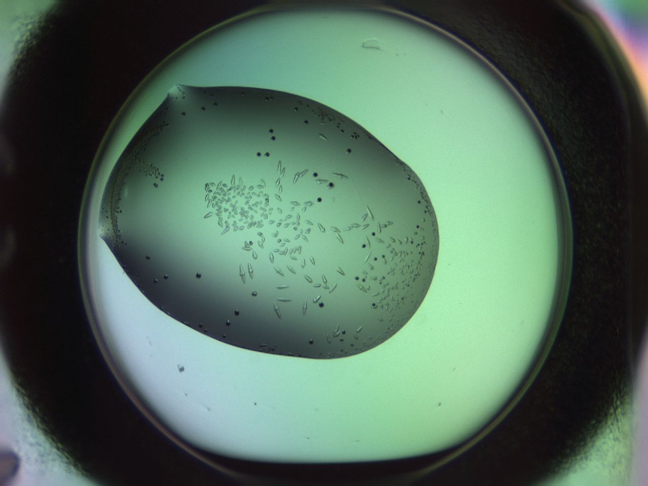 02kh_C7_ImagerDefaults_9.jpg