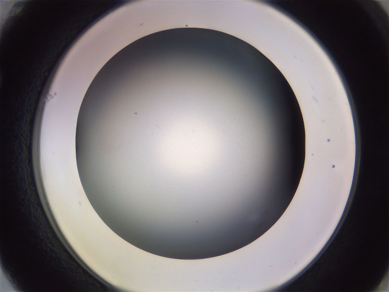 folderID348_plateID1348_batchID4703_wellNum61_profileID1_d1_r81192_ef.jpg