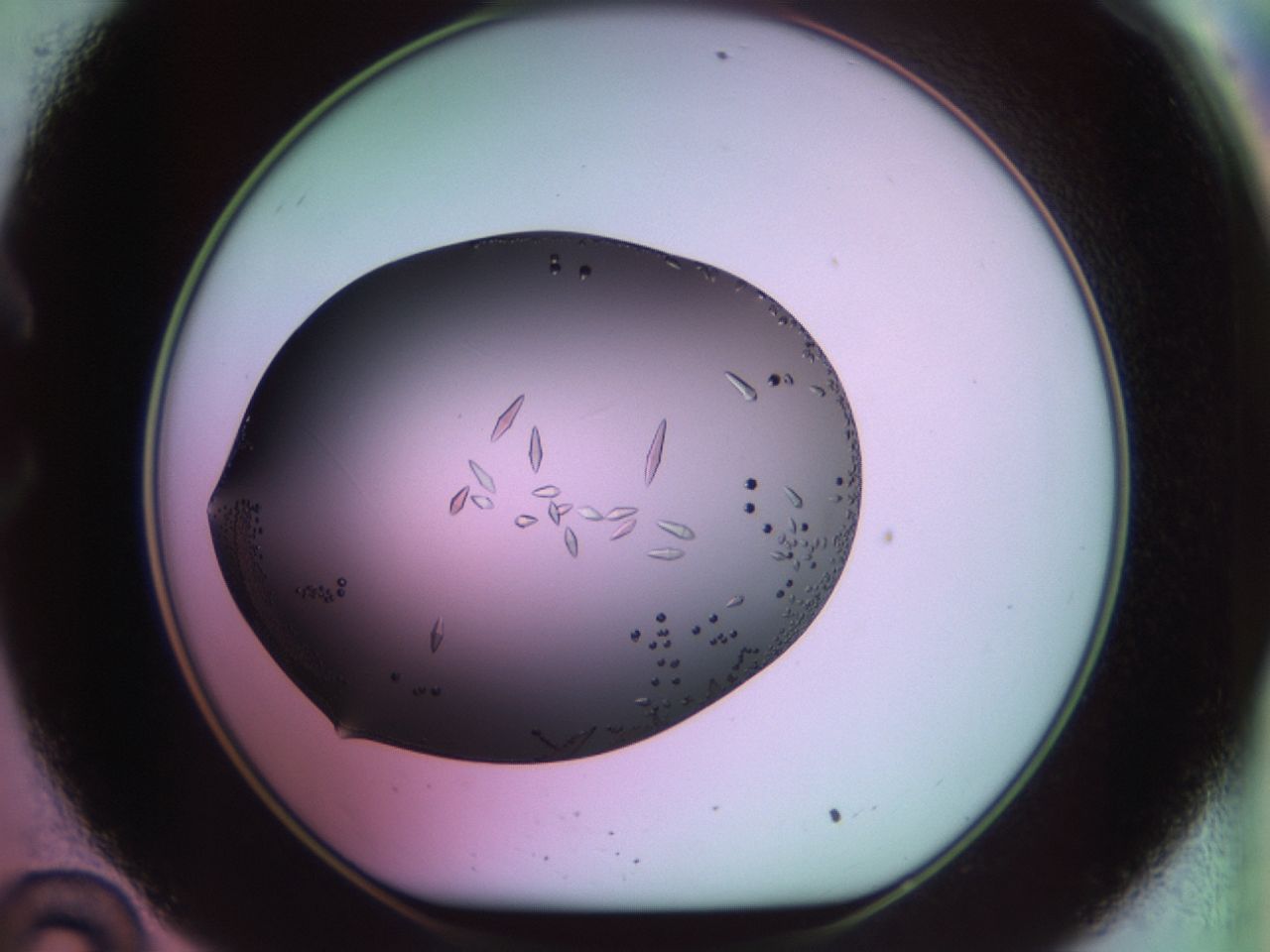 02kh_C10_ImagerDefaults_9.jpg