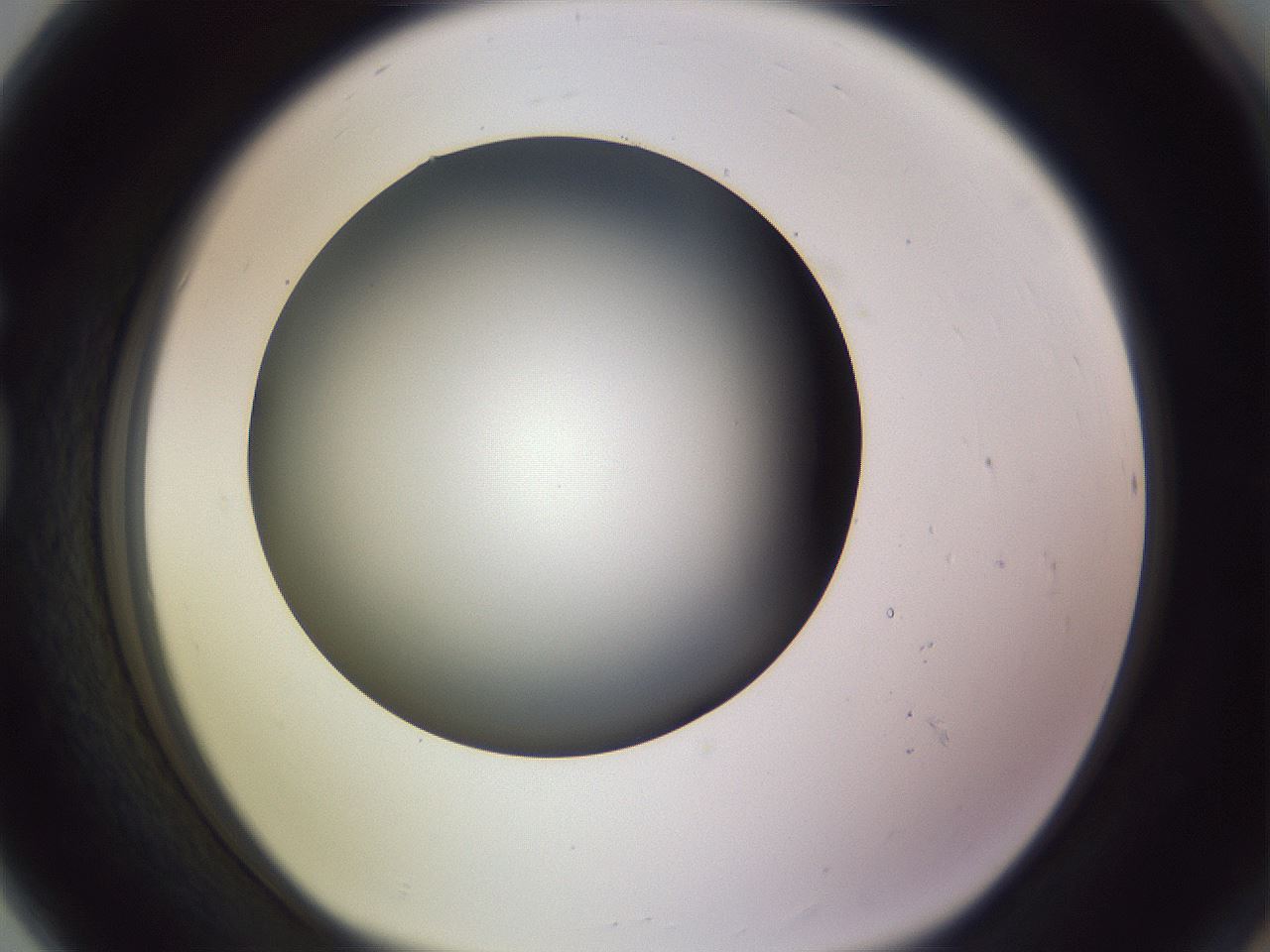 folderID348_plateID1348_batchID4703_wellNum80_profileID1_d1_r81211_ef.jpg