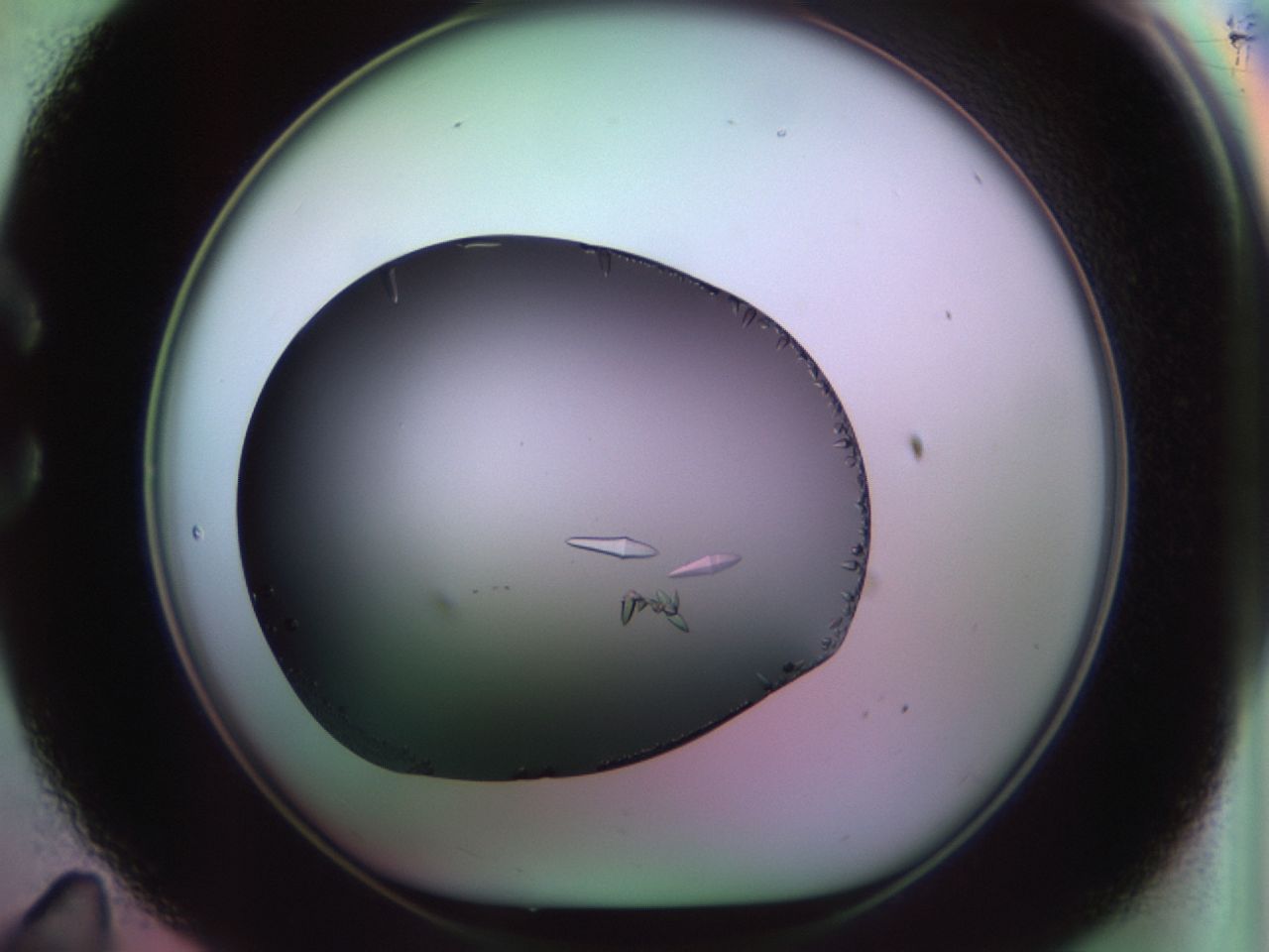 02kh_C11_ImagerDefaults_9.jpg