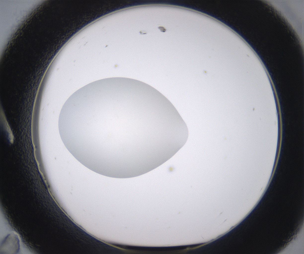 folderID348_plateID2348_batchID11068_wellNum11_profileID1_d1_r166359_ef.jpg