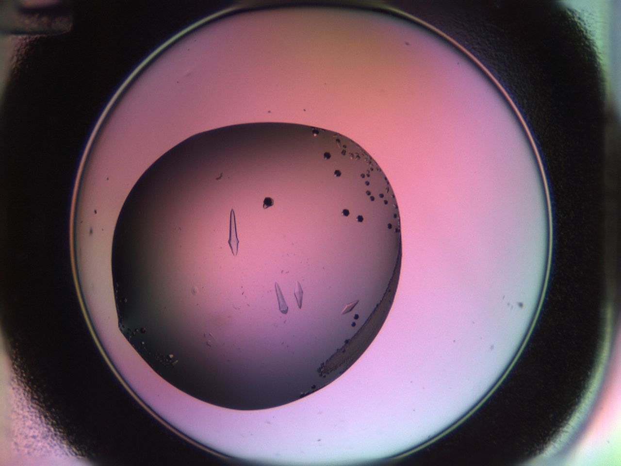 02kh_C12_ImagerDefaults_9.jpg