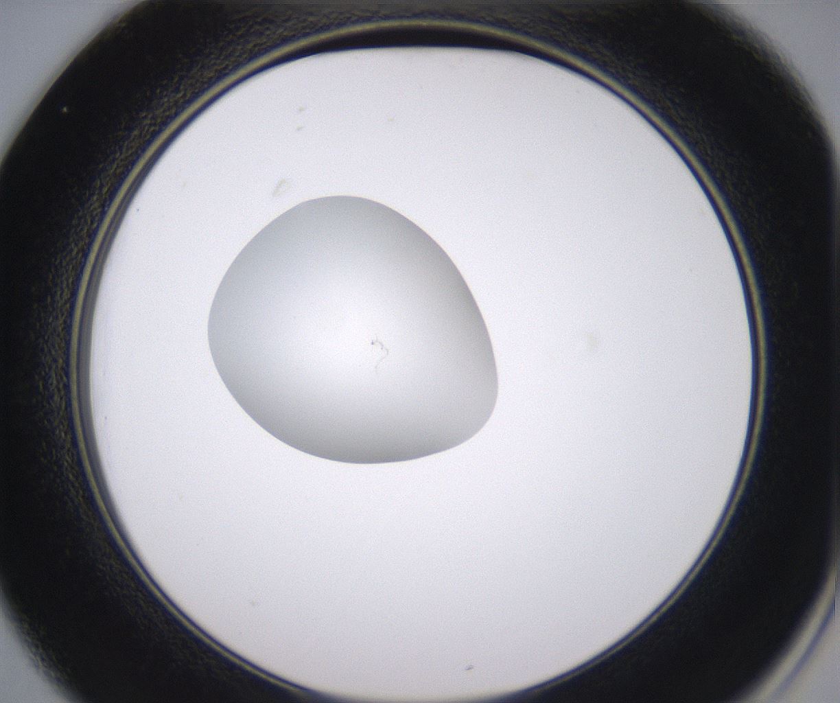 folderID348_plateID2348_batchID11068_wellNum25_profileID1_d2_r166388_ef.jpg
