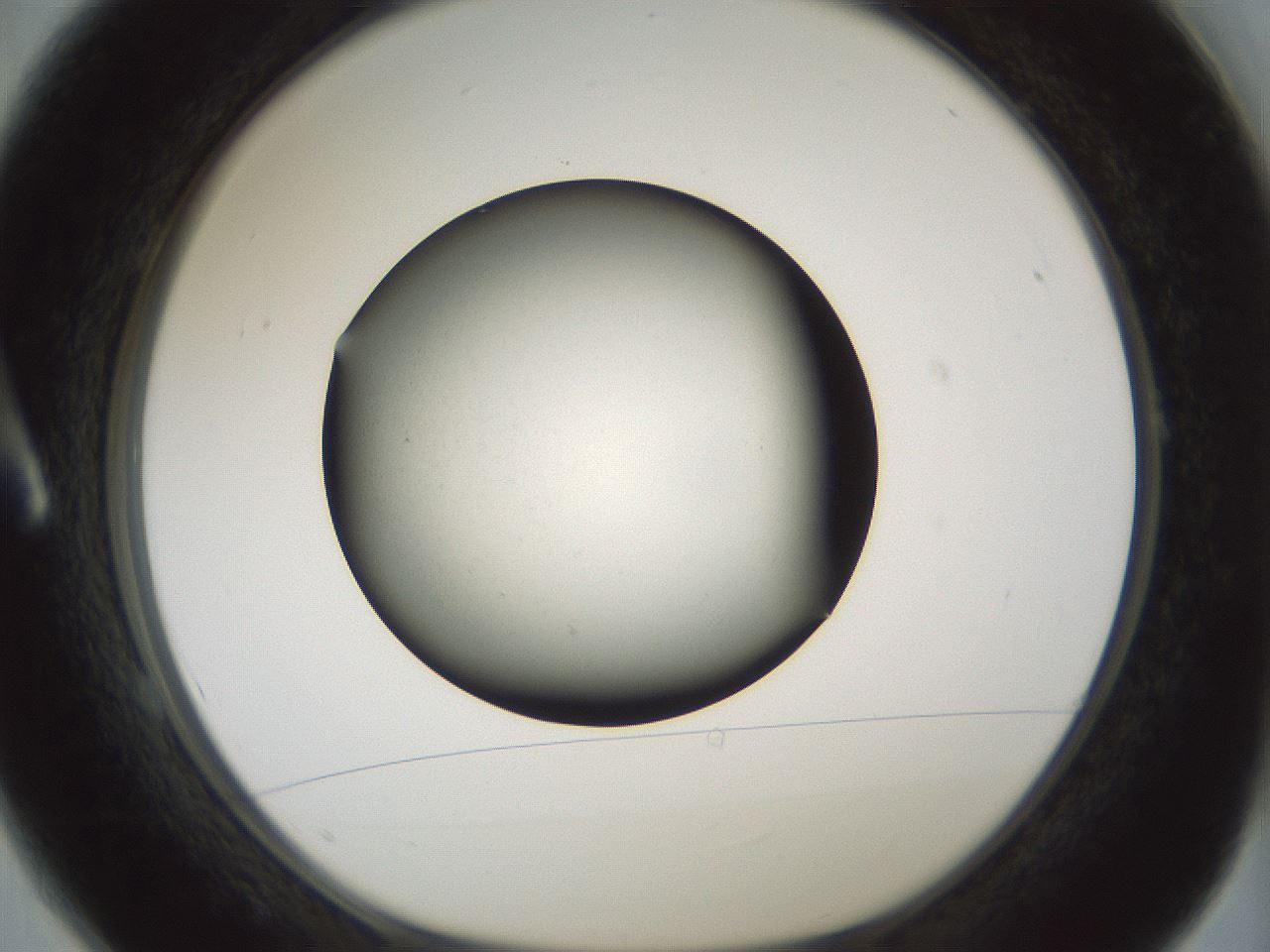 folderID349_plateID1349_batchID4704_wellNum1_profileID1_d1_r81420_ef.jpg