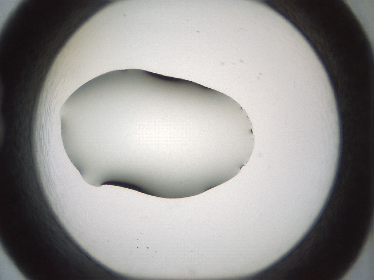 folderID349_plateID1349_batchID4704_wellNum20_profileID1_d1_r81439_ef.jpg
