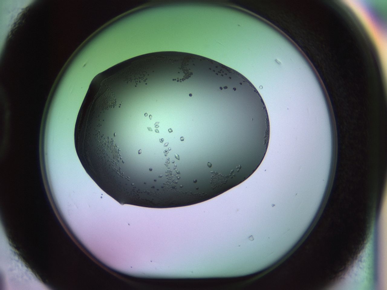 02kh_D4_ImagerDefaults_9.jpg