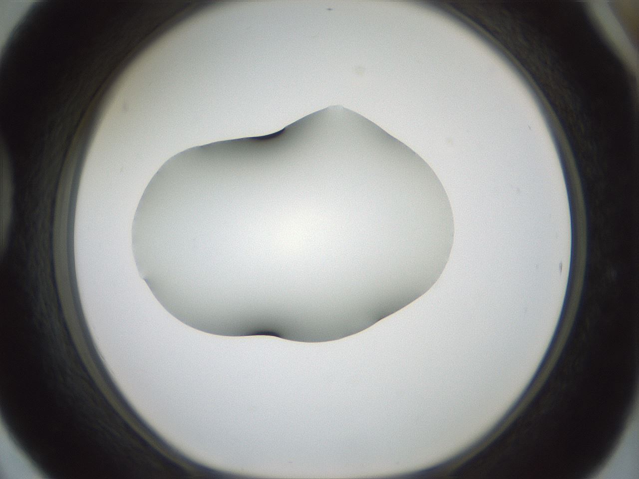 folderID349_plateID1349_batchID4704_wellNum42_profileID1_d1_r81461_ef.jpg