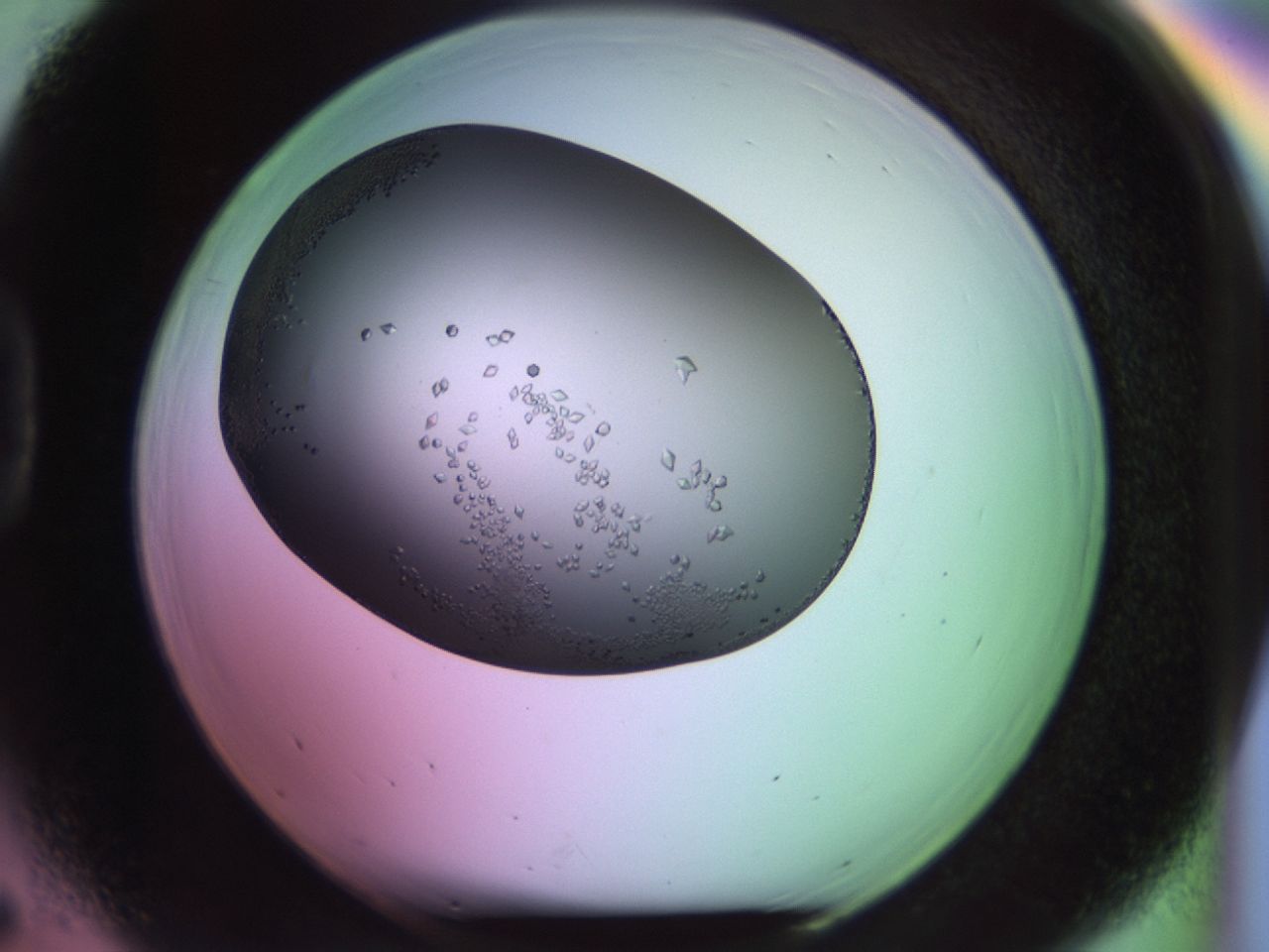 02kh_D5_ImagerDefaults_9.jpg