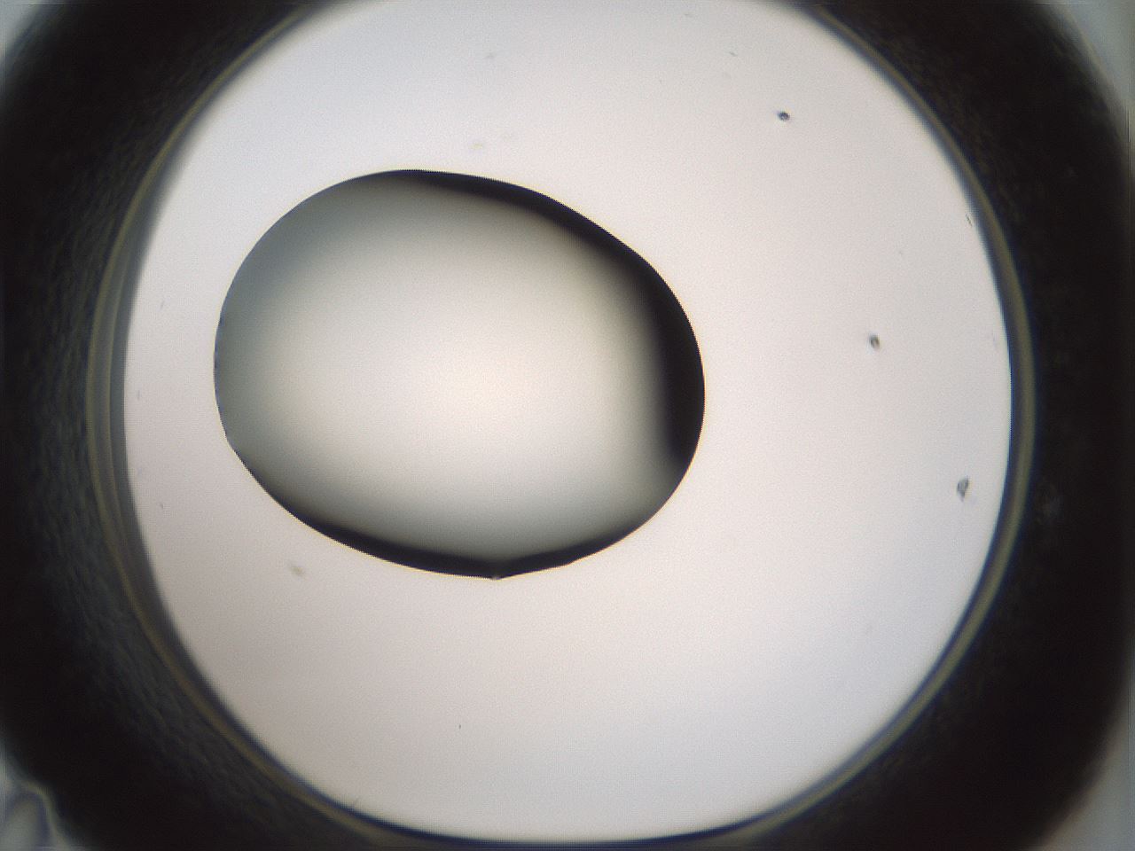 folderID349_plateID1349_batchID4704_wellNum47_profileID1_d1_r81466_ef.jpg