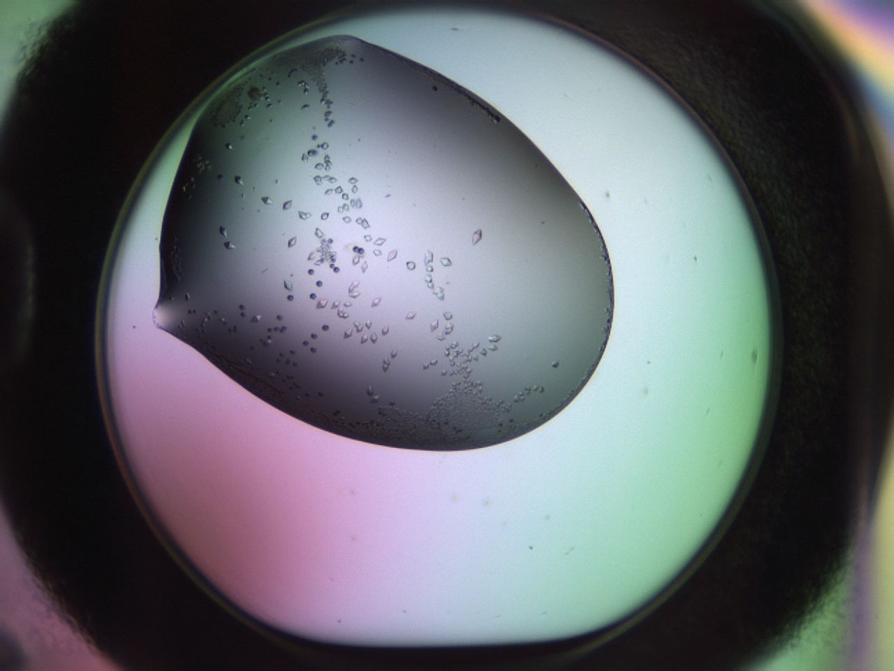 02kh_D6_ImagerDefaults_9.jpg