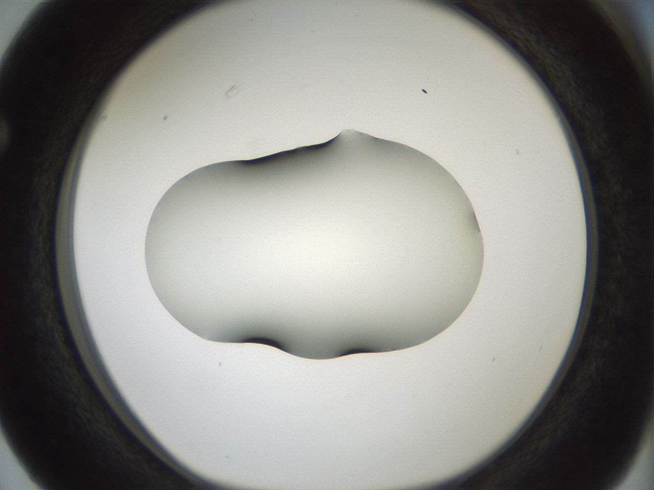 folderID349_plateID1349_batchID4704_wellNum63_profileID1_d1_r81482_ef.jpg