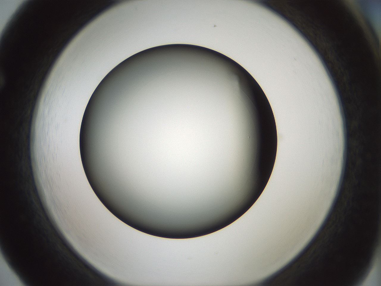folderID349_plateID1349_batchID4704_wellNum65_profileID1_d1_r81484_ef.jpg