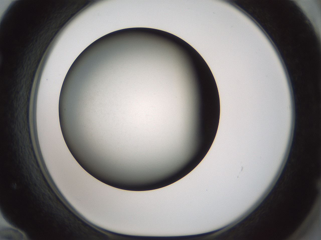 folderID349_plateID1349_batchID4704_wellNum72_profileID1_d1_r81491_ef.jpg