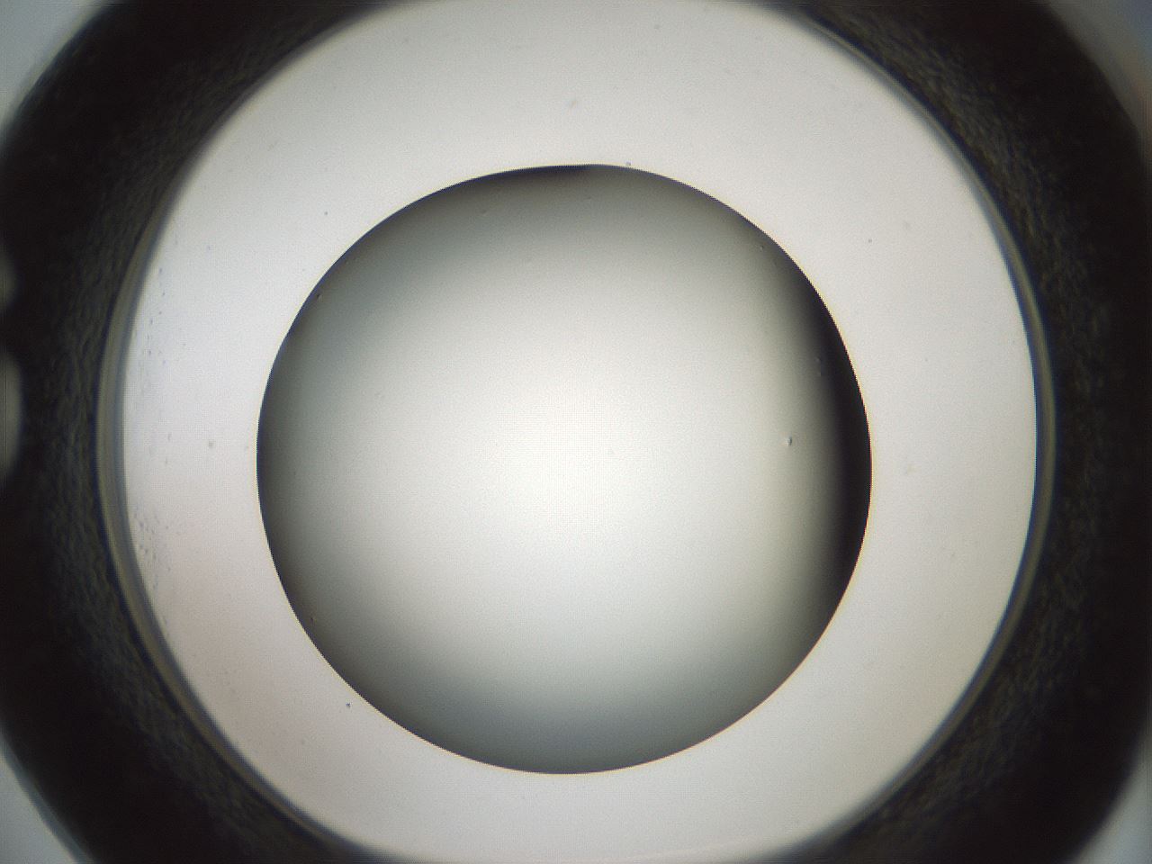 folderID349_plateID1349_batchID4704_wellNum73_profileID1_d1_r81492_ef.jpg