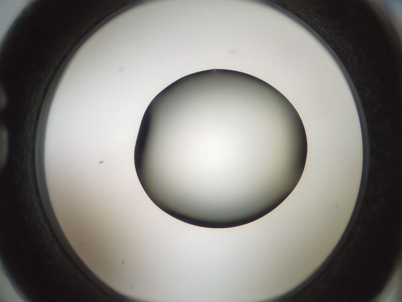 folderID349_plateID1349_batchID4704_wellNum74_profileID1_d1_r81493_ef.jpg