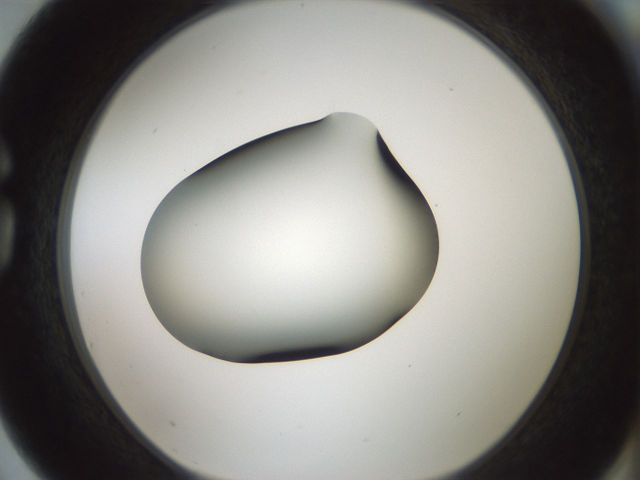 folderID349_plateID1349_batchID4704_wellNum75_profileID1_d1_r81494_ef.jpg