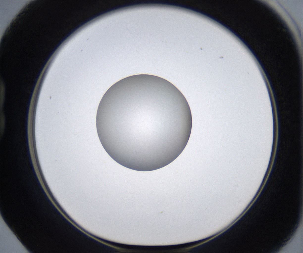 folderID349_plateID2349_batchID11067_wellNum17_profileID1_d1_r165603_ef.jpg