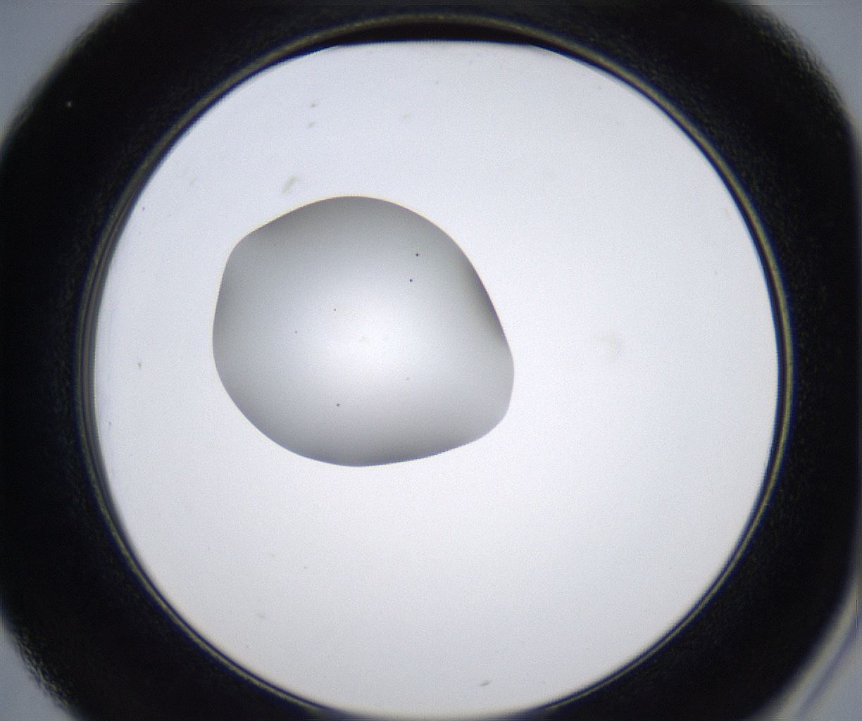 folderID349_plateID2349_batchID11067_wellNum25_profileID1_d2_r165620_ef.jpg