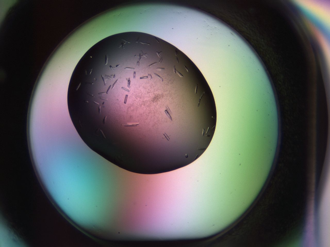 02kh_F4_ImagerDefaults_9.jpg