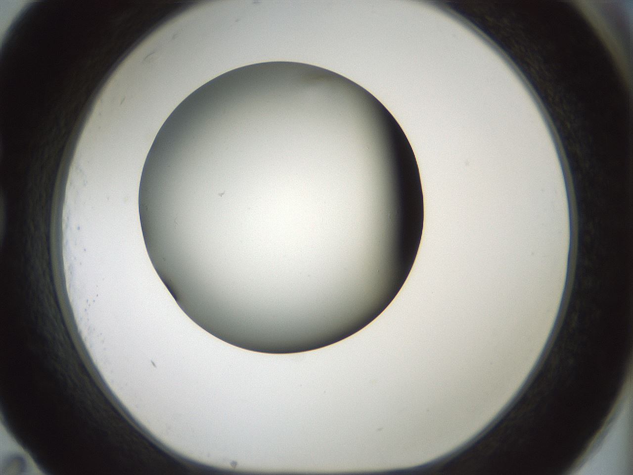 folderID349_plateID1349_batchID4704_wellNum83_profileID1_d1_r81502_ef.jpg