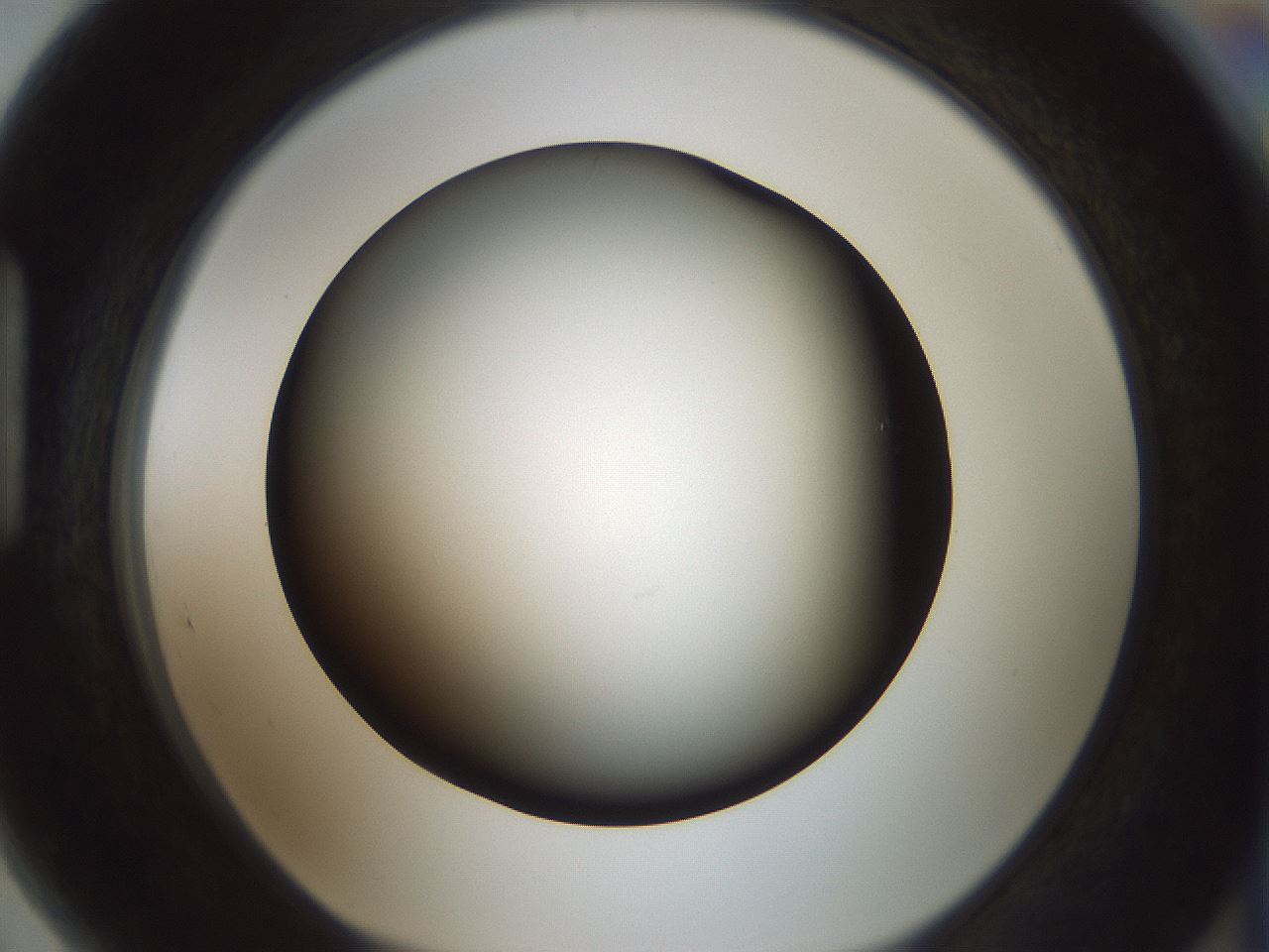 folderID349_plateID1349_batchID4704_wellNum89_profileID1_d1_r81508_ef.jpg