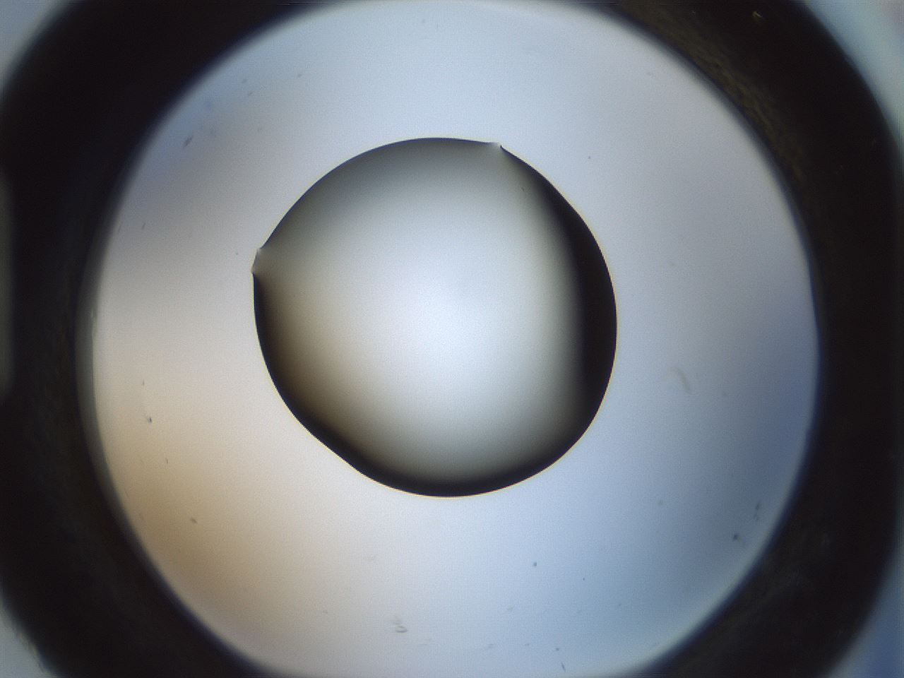 folderID349_plateID1349_batchID4704_wellNum92_profileID1_d1_r81511_ef.jpg